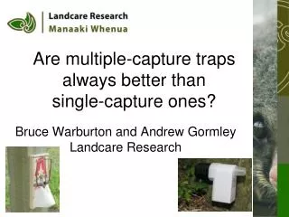 Are multiple-capture traps always better than single-capture ones?