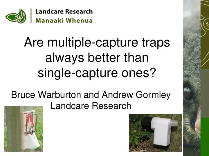 are multiple capture traps always better than single capture ones