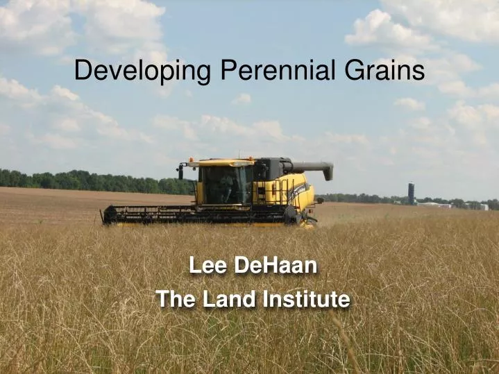 developing perennial grains