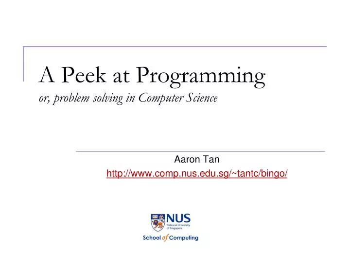 a peek at programming or problem solving in computer science