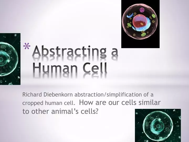 abstracting a human cell