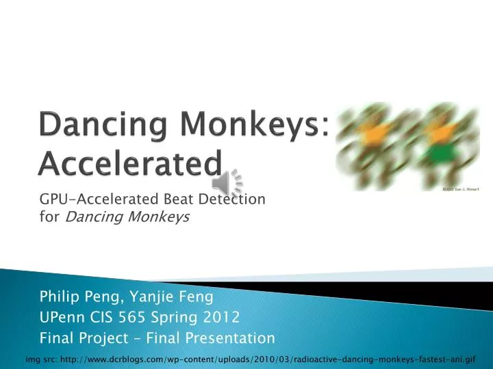 dancing monkeys accelerated