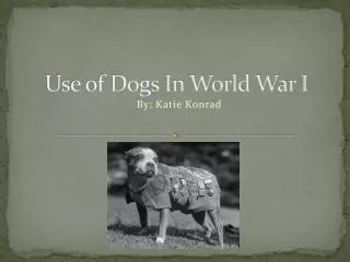 Use of Dogs In World War I