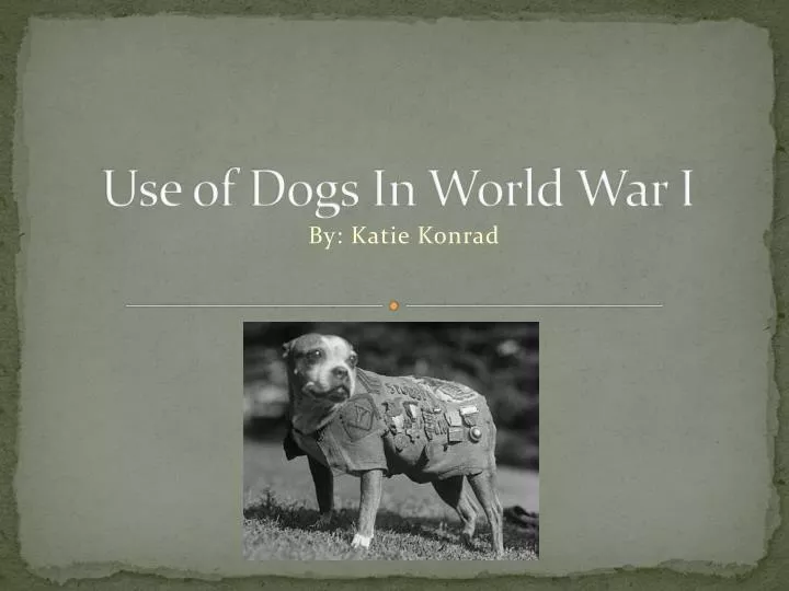 use of dogs in world war i