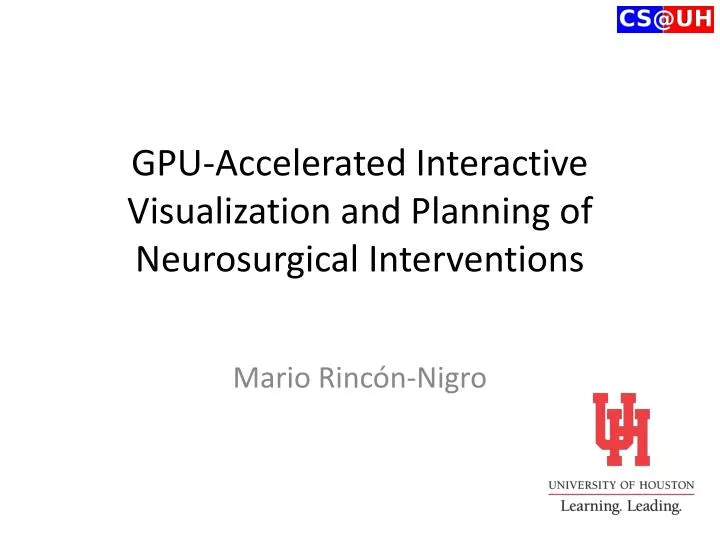 gpu accelerated interactive visualization and planning of neurosurgical interventions