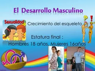 el desarrollo masculino