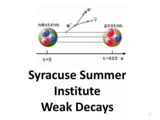 Syracuse Summer Institute Weak Decays