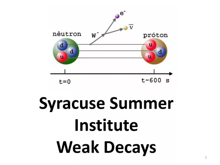 syracuse summer institute weak decays
