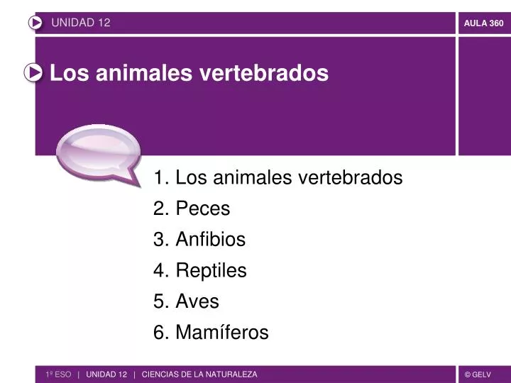 los animales vertebrados