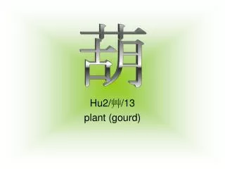 Hu2/ ? /13 plant (gourd)