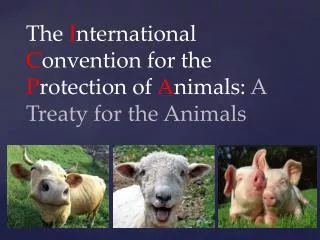 The I nternational C onvention for the P rotection of A nimals: A Treaty for the Animals