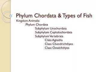 Phylum Chordata &amp; Types of Fish