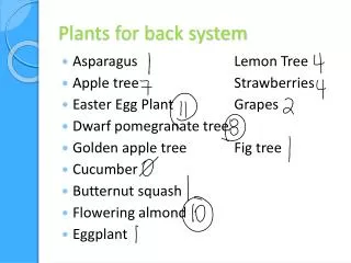 Plants for back system