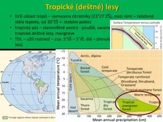 Tropické (deštné) lesy