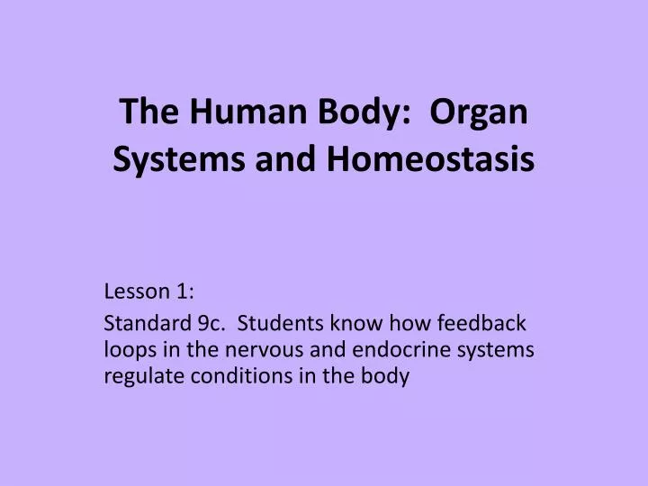 the human body organ systems and homeostasis