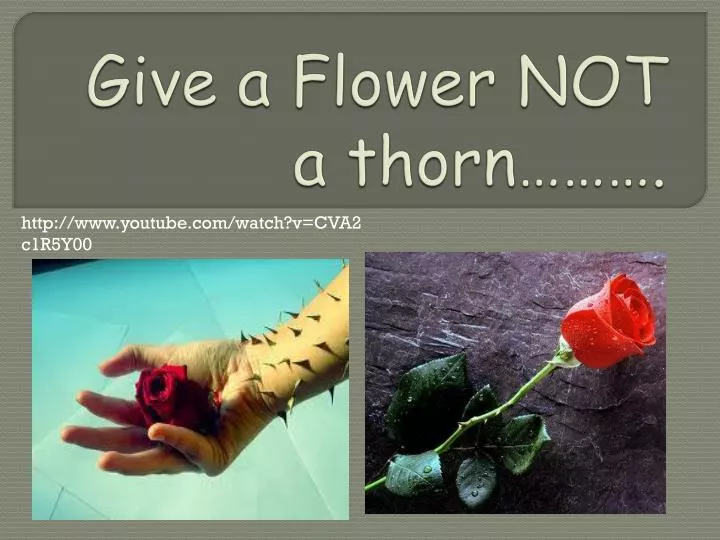 give a flower not a thorn
