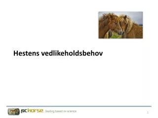 hestens vedlikeholdsbehov