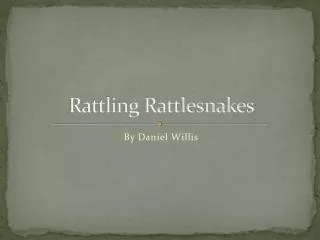 Rattling Rattlesnakes