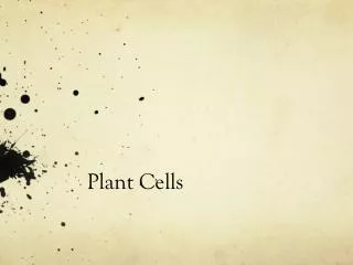 plant cells