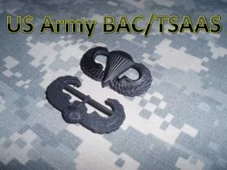 US Army BAC/TSAAS