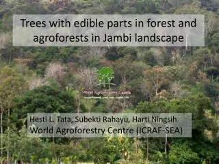Trees with edible parts in forest and agroforests in Jambi landscape