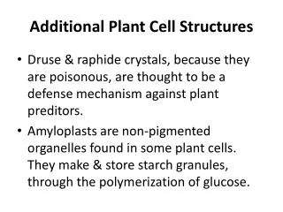 Additional Plant Cell Structures