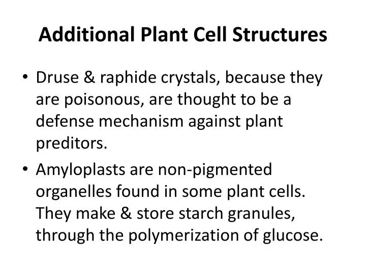 additional plant cell structures
