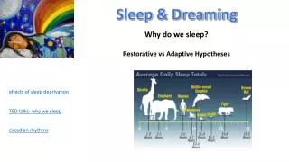 Sleep &amp; Dreaming