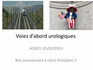 voies d abord urologiques