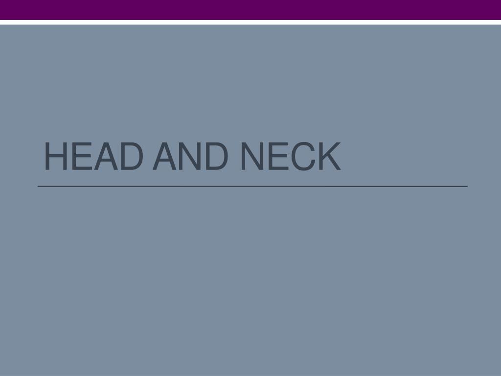 PPT - Head and Neck PowerPoint Presentation, free download - ID:1892469