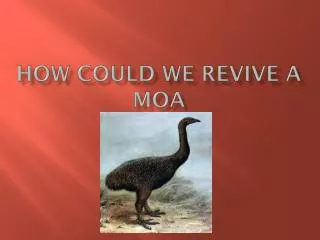 How could we revive a Moa