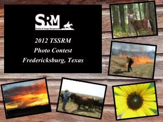 2012 TSSRM Photo Contest Fredericksburg, Texas