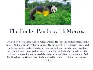 The Funky Panda by Eli Morcos