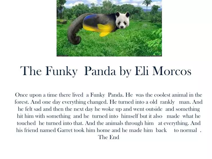 the funky panda by eli morcos