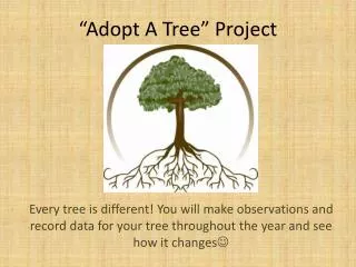 “Adopt A Tree” Project