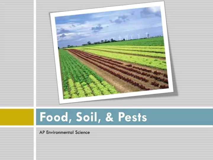 food soil pests