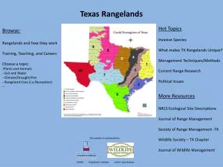 Texas Rangelands