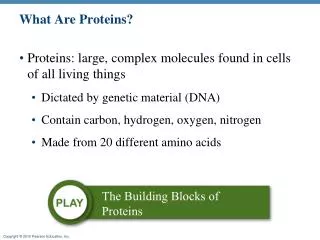 What Are Proteins?