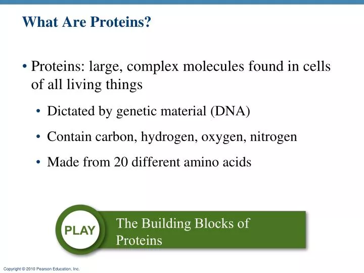 what are proteins