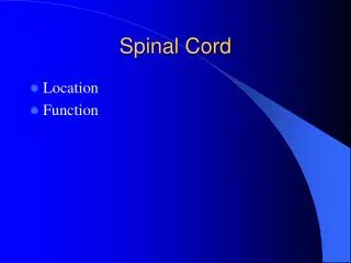 Spinal Cord