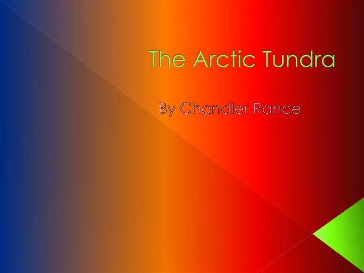 the arctic tundra