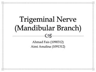 Trigeminal Nerve (Mandibular Branch)