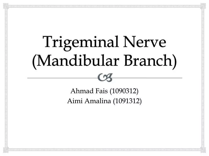 trigeminal nerve mandibular branch