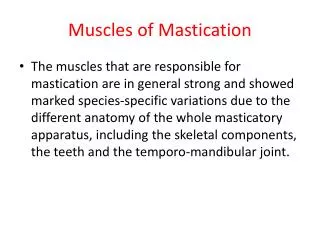 Muscles of Mastication