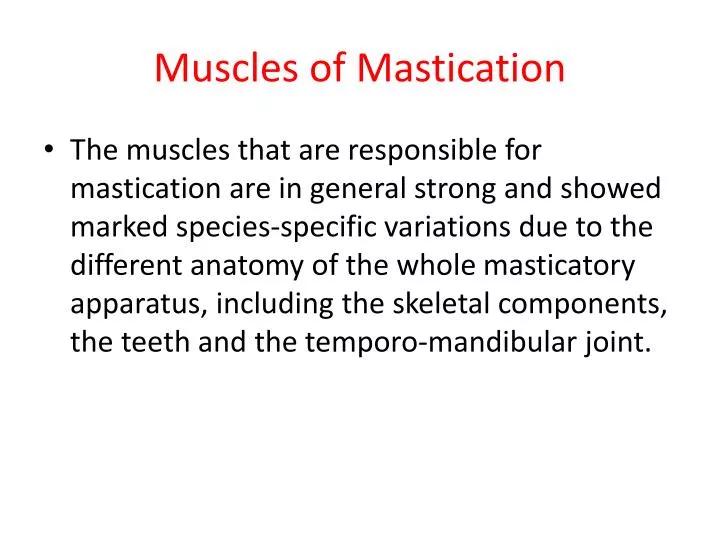 muscles of mastication