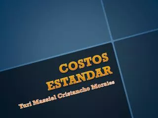costos estandar