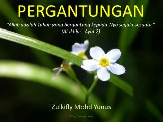 Zulkifly Mohd Yunus