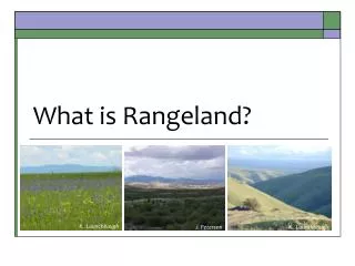 What is Rangeland?