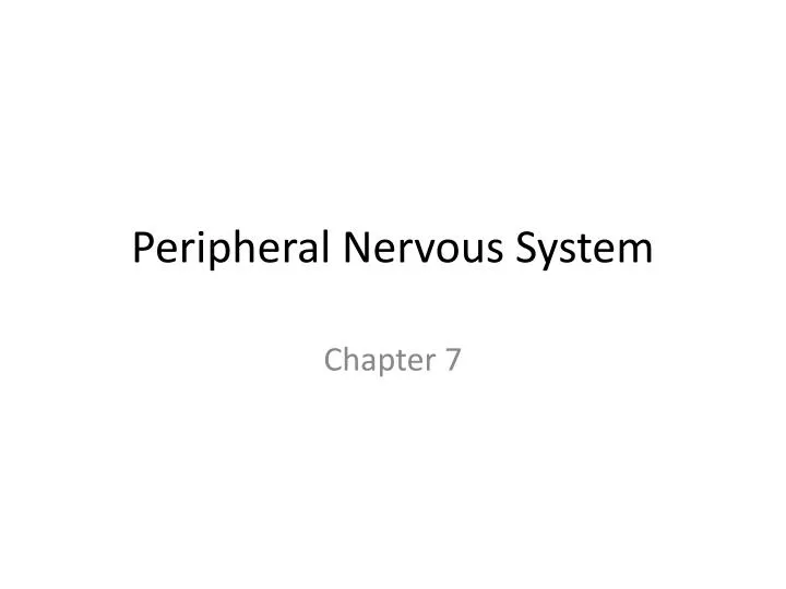 peripheral nervous system