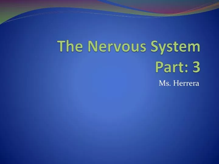 the nervous system part 3
